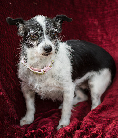 Foster Olive-7694