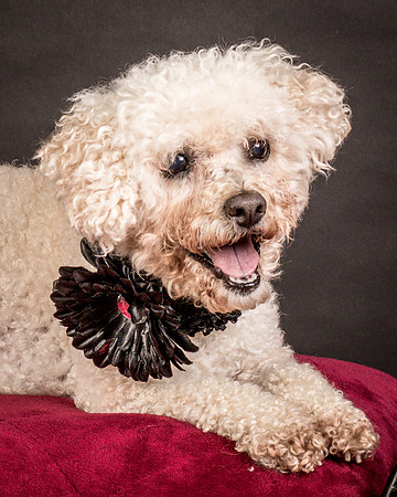Foster Mae-9115