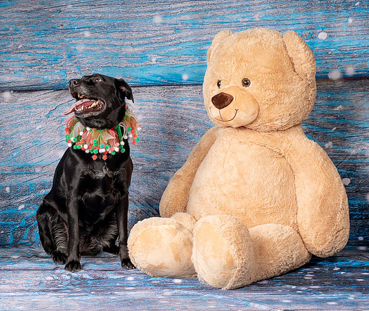 Foster Beatrice-4030
