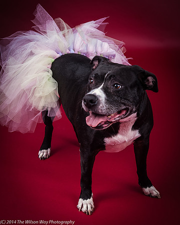 Molly-5774