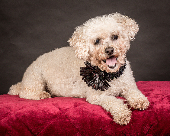 Foster Mae-9069