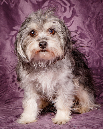 Foster Alex-6254