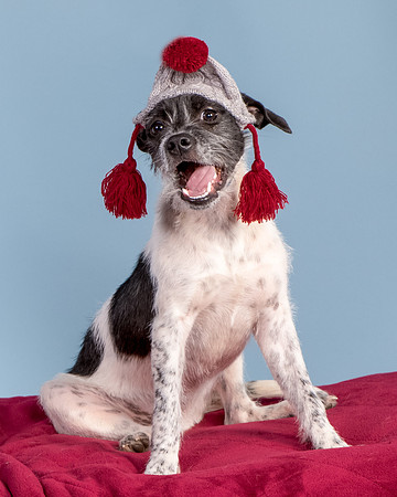 Foster Billie-8250