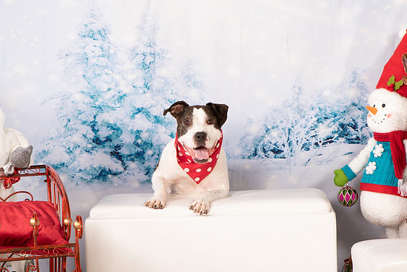 Foster Duke-0497