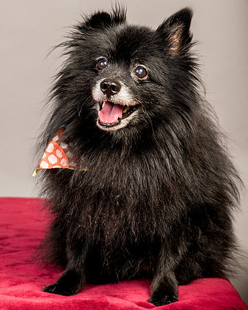 Foster Wayne-7963