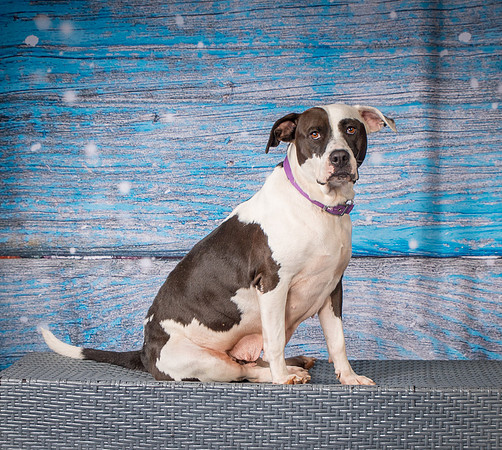 Foster Lucette-3209