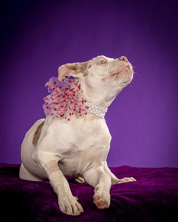 Foster Babette-1777