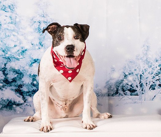 Foster Duke-0507