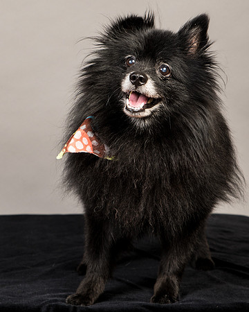 Foster Wayne-7793