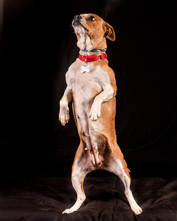 Foster Posey-1086