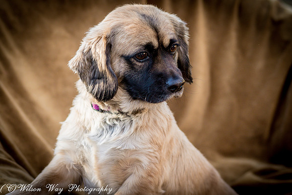 Foster Trudy-10
