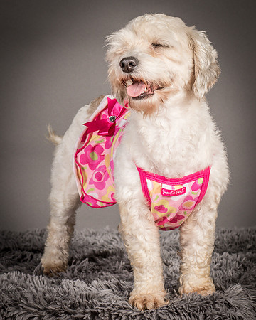 Foster Everly-2234