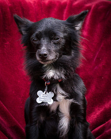 Foster Julio-8476