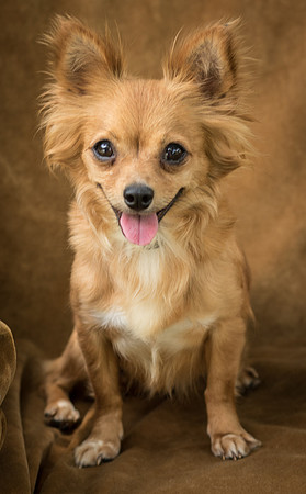 Foster Dolly-7751