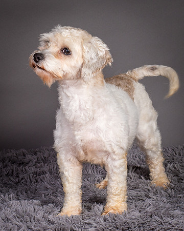 Foster Everly-2363