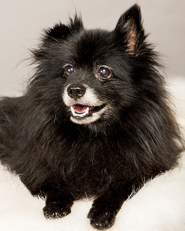 Foster Wayne-8100
