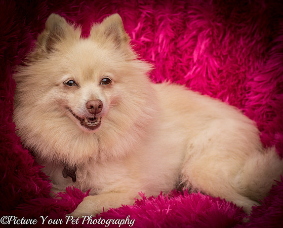 Foster Laverne-6309