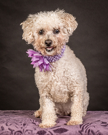 Foster Mae-9225