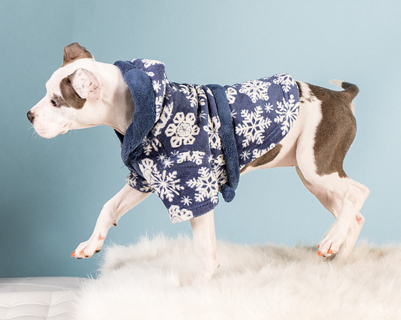 Foster Luna-4758