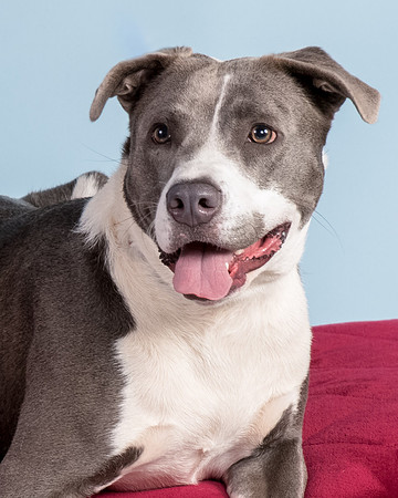 Foster Juliana-8118