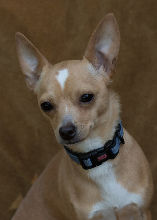 Foster Tony-8795