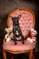Foster Elvira-0173