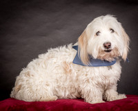 Foster Frosty-0547