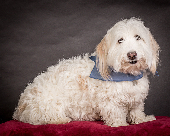 Foster Frosty-0547