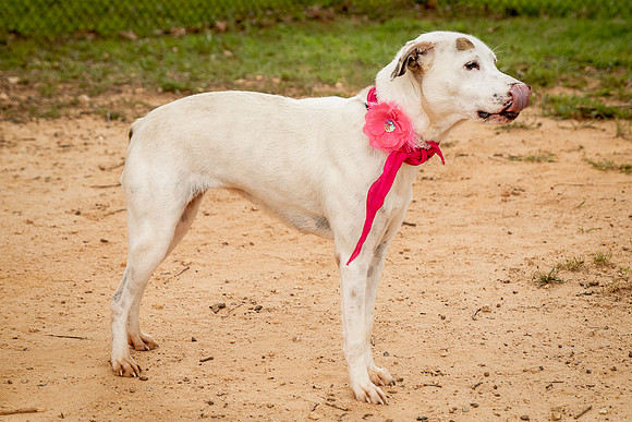 Carley-1127