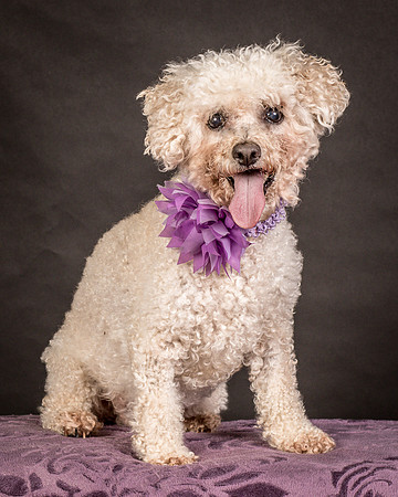 Foster Mae-9174