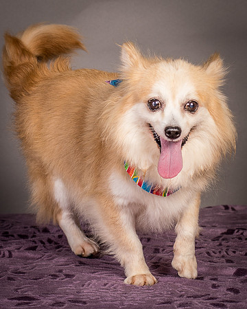 Foster Lilly-3249