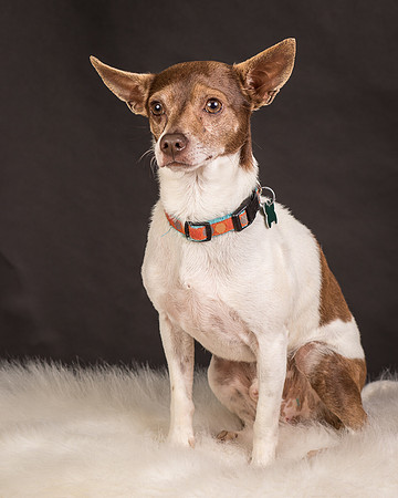 Foster Gus-0293