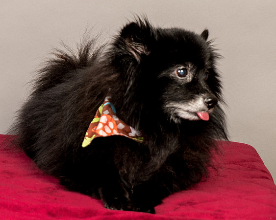 Foster Wayne-7898