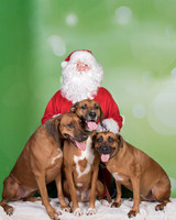 Santa w/ his Pets