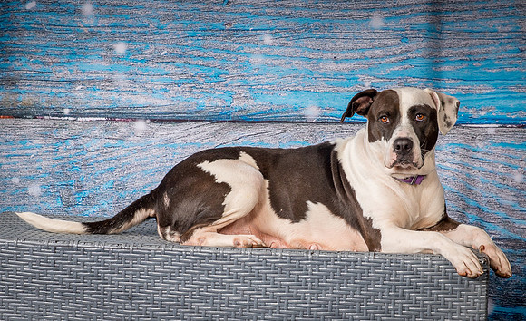 Foster Lucette-3240