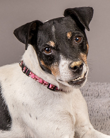 Foster Pollyanna-4024