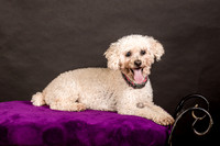 Foster Mae-8952