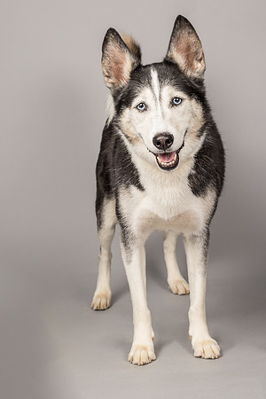 Bella-2478