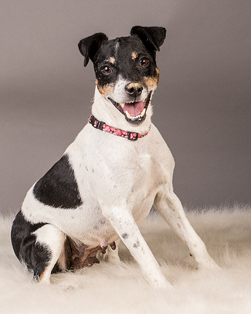 Foster Pollyanna-3900