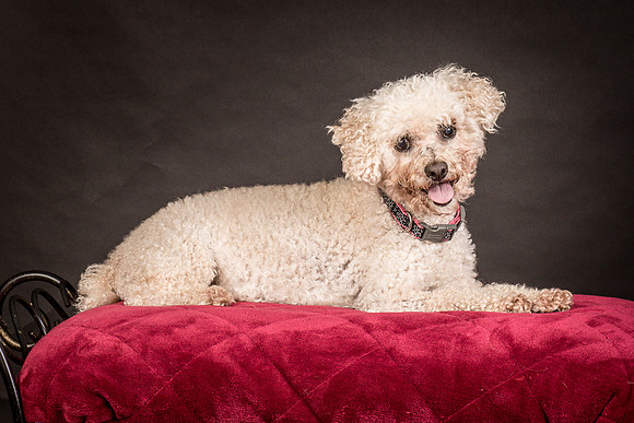 Foster Mae-8999