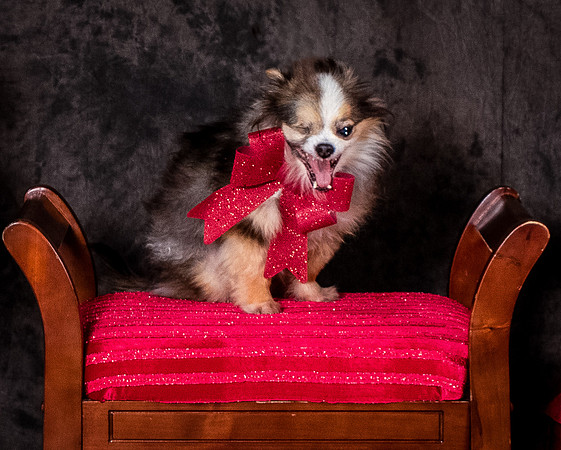 Foster Gabe-4423