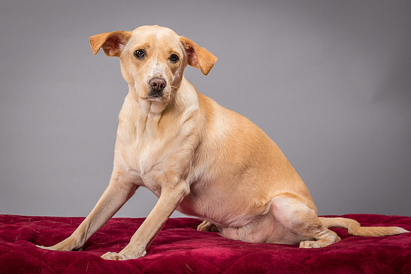 Foster June-3555