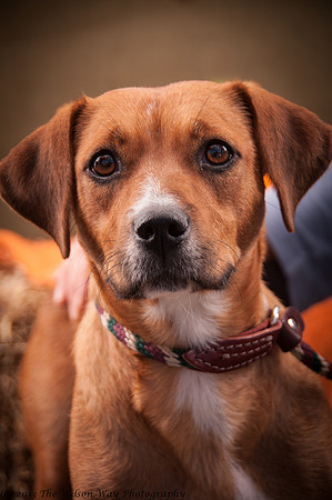 Foster Thelma-6936