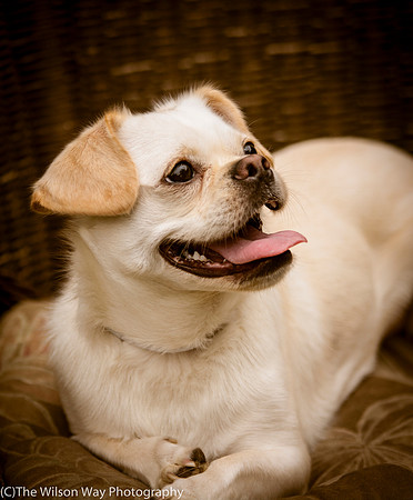 Foster Bonnie-3012