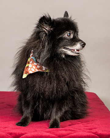 Foster Wayne-7829
