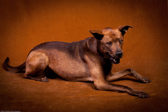 Cinna-9719