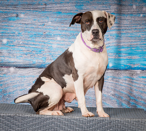 Foster Lucette-3214