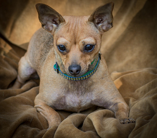 Foster Naomi-8874