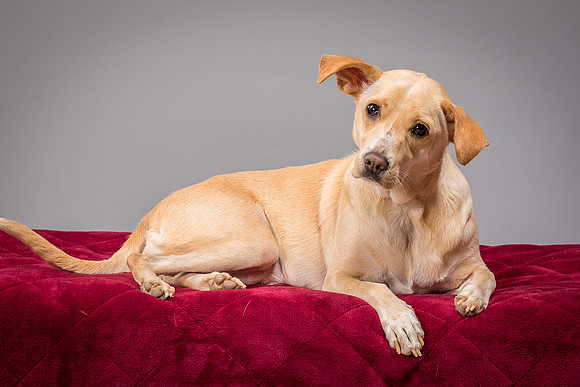 Foster June-3453