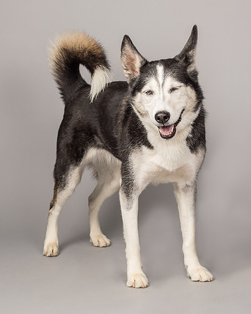 Bella-2485